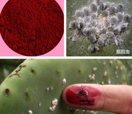 Can't bear to look straight: those heavy-mouthed pigments are simply painting with life.